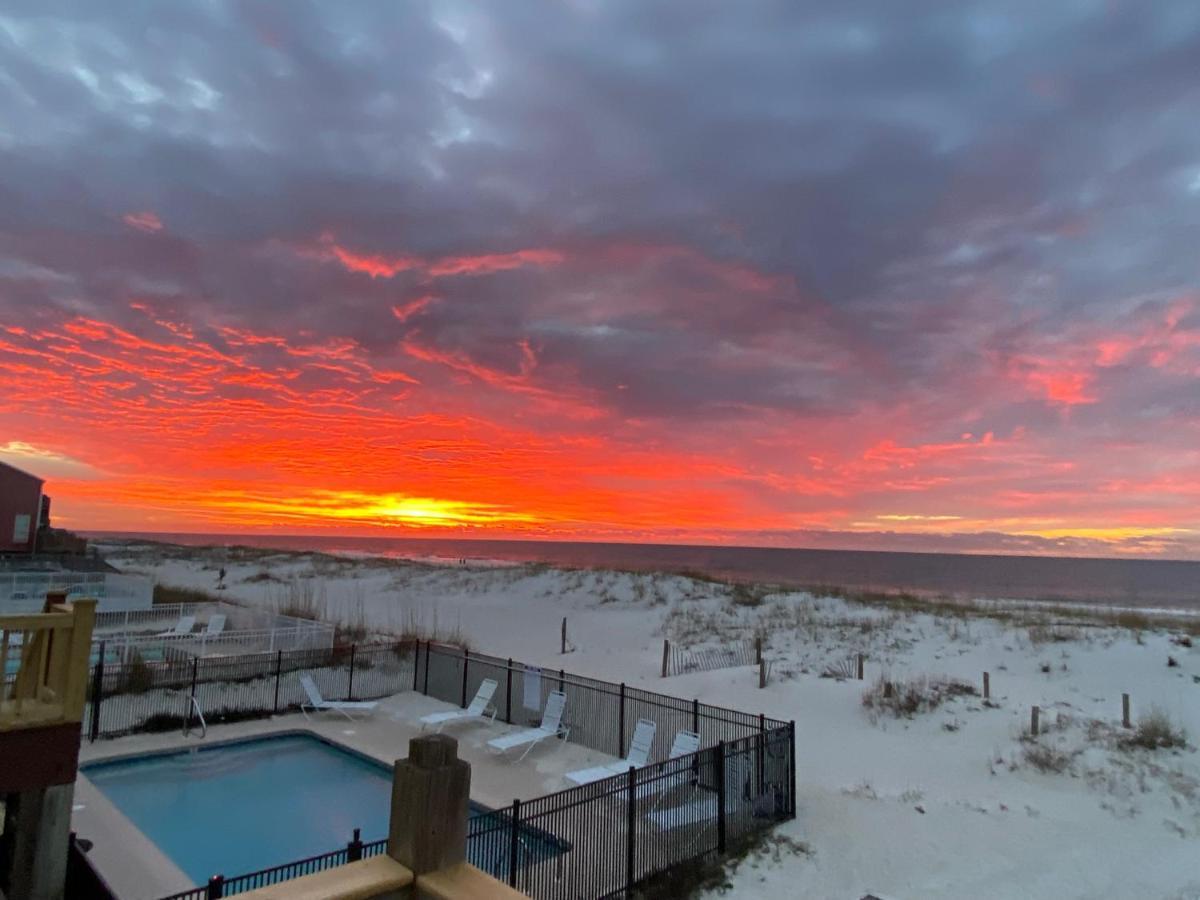 Blue Parrot Villa Gulf Shores Dış mekan fotoğraf